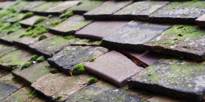 Olveston roof repair costs